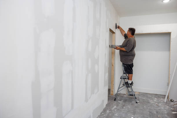 Best Mold Remediation for Healthcare Facilities  in Somerset, MD